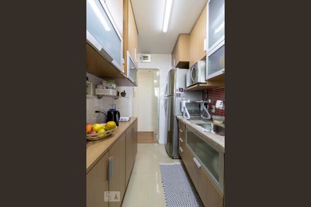 Cozinha de apartamento para alugar com 3 quartos, 70m² em Vila Paulista, São Paulo