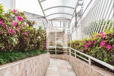 Área comum  de apartamento para alugar com 2 quartos, 51m² em Cambuci, São Paulo