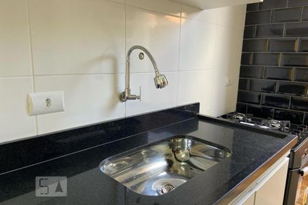 Apartamento para alugar com 52m², 1 quarto e sem vagaCozinha - Torneira