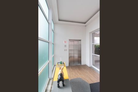 Hall Elevador Entrada de kitnet/studio para alugar com 1 quarto, 34m² em Jardim Aeroporto, São Paulo