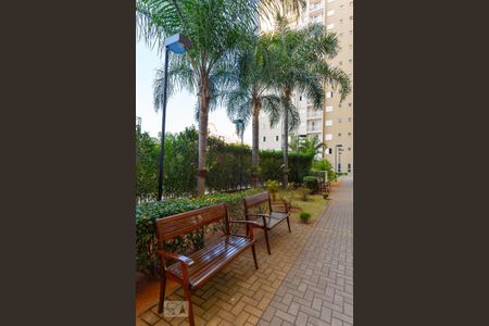 Apartamento para alugar com 75m², 3 quartos e 1 vagaArea Comum