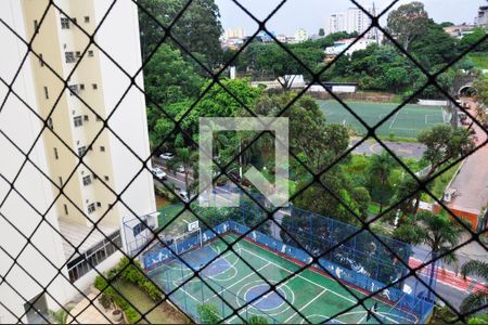 Detalhe - Vista da Varanda da Sala e Sala de Jantar de apartamento para alugar com 3 quartos, 74m² em Vila Amélia, São Paulo