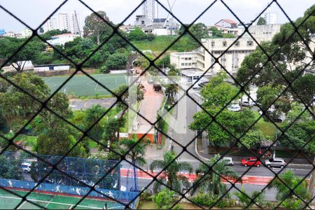 Vista da Varanda da Sala de apartamento para alugar com 3 quartos, 74m² em Vila Amélia, São Paulo
