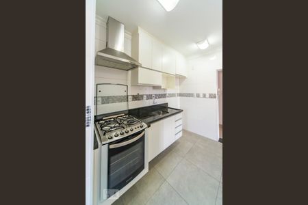 Cozinha  de apartamento à venda com 2 quartos, 52m² em Jardim Sílvia, Santo André