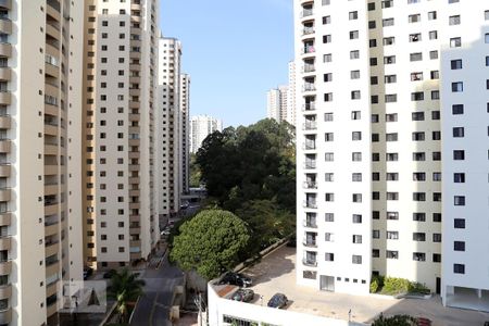 Apartamento para alugar com 112m², 3 quartos e 2 vagasVista do Quarto 1