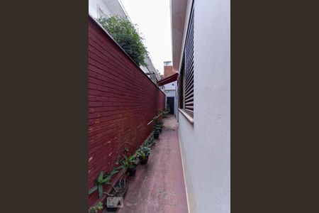 Casa à venda com 400m², 5 quartos e 2 vagasQuintal