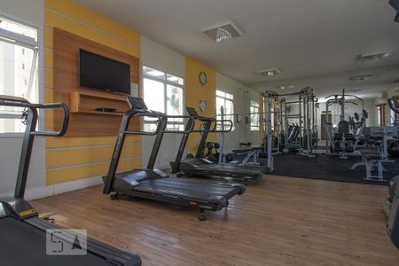 Apartamento à venda com 53m², 1 quarto e 1 vagaÁrea comum - Academia