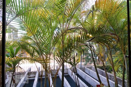 Vista da Sala de casa à venda com 6 quartos, 600m² em Jardim Leonor, São Paulo