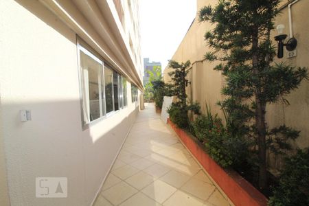 Apartamento para alugar com 65m², 2 quartos e 2 vagasÁrea comum