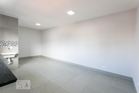 Studio de kitnet/studio para alugar com 1 quarto, 30m² em Belenzinho, São Paulo