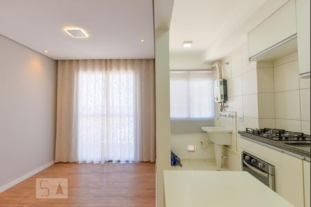 Sala de apartamento para alugar com 2 quartos, 50m² em Jardim Samambaia, Campinas
