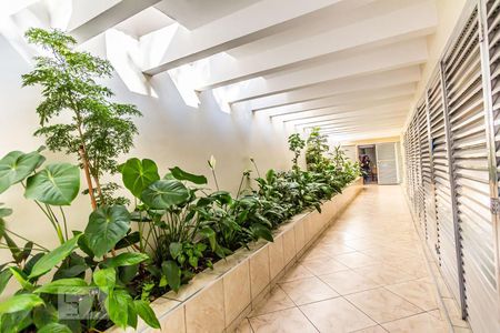 Apartamento para alugar com 87m², 2 quartos e sem vagaÁrea externa