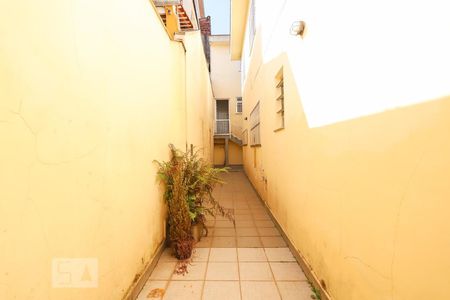 Casa para alugar com 350m², 3 quartos e 3 vagasQuintal