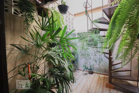 Casa à venda com 300m², 3 quartos e 4 vagas Casa à venda com 300m², 3 quartos e 4 vagasJardim de inverno