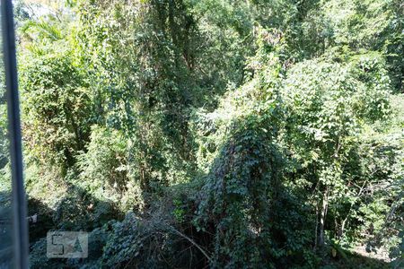 Casa para alugar com 100m², 2 quartos e sem vagaVista da Área de serviço