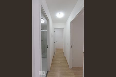 Corredor de apartamento à venda com 2 quartos, 45m² em Brás, São Paulo