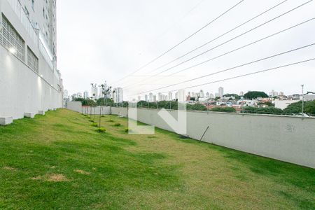 Apartamento para alugar com 48m², 2 quartos e sem vagaÁrea comum - Espaço Pet
