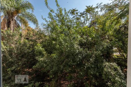 Vista da sala de apartamento para alugar com 2 quartos, 46m² em Jardim São Francisco (zona Leste), São Paulo