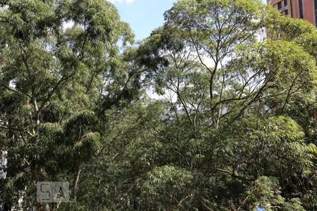 Vista da Sala de apartamento à venda com 1 quarto, 90m² em Vila Suzana, São Paulo