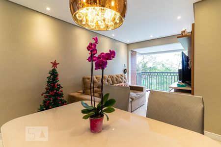 Sala de apartamento para alugar com 3 quartos, 72m² em Vila Castelo, São Paulo