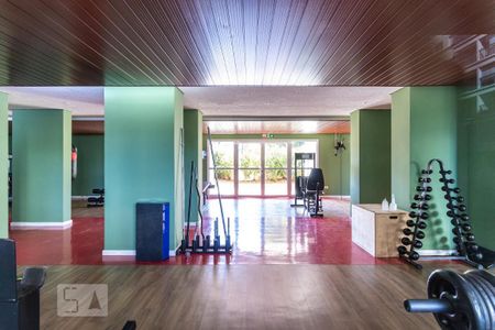 Apartamento para alugar com 72m², 3 quartos e 1 vaga Apartamento para alugar com 72m², 3 quartos e 1 vagaÁrea comum - Academia