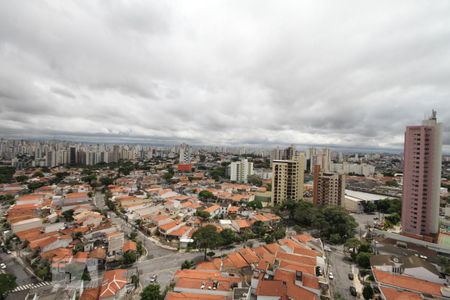Apartamento para alugar com 283m², 4 quartos e 5 vagasVista