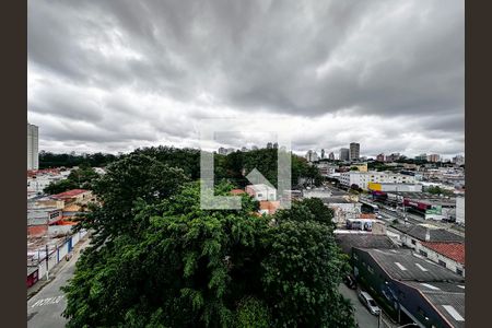 Vista  de apartamento para alugar com 1 quarto, 57m² em Vila Cruzeiro, São Paulo