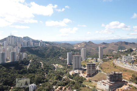 Vista de apartamento para alugar com 1 quarto, 53m² em Vila da Serra, Nova Lima