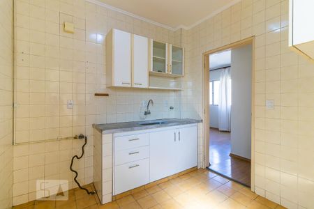 Cozinha de apartamento para alugar com 2 quartos, 67m² em Cambuí, Campinas