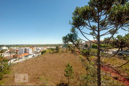 Vista da varanda da sala de apartamento para alugar com 2 quartos, 115m² em Afonso Pena, São José dos Pinhais