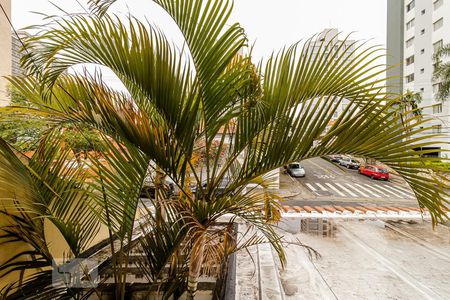 Casa à venda com 450m², 6 quartos e 4 vagasVista do Quarto 1 andar superior