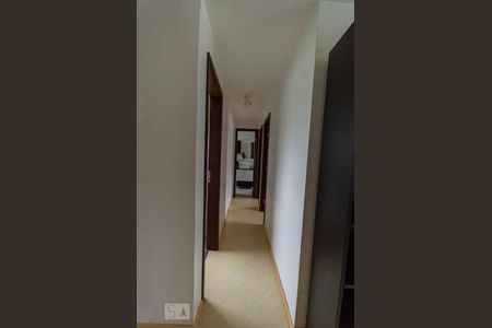Corredor de apartamento para alugar com 2 quartos, 45m² em Pedro Moro, São José dos Pinhais