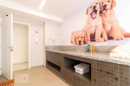 Apartamento para alugar com 55m², 2 quartos e sem vaga Apartamento para alugar com 55m², 2 quartos e sem vagaÁrea comum - Espaço Pet