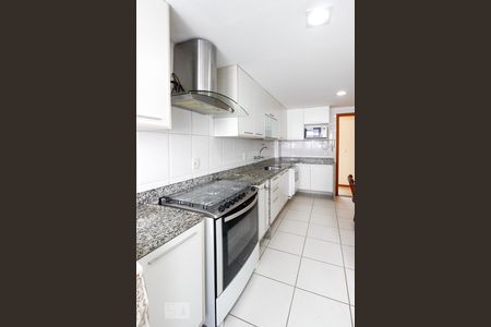 Apartamento à venda com 300m², 3 quartos e 3 vagasCozinha