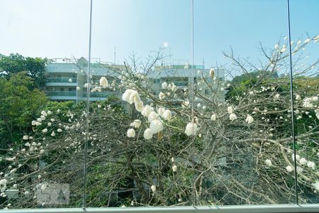 Apartamento à venda com 246m², 4 quartos e 3 vagasVaranda da Sala