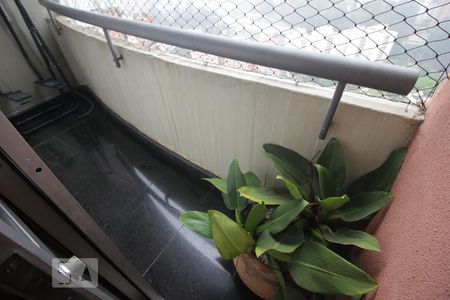 Apartamento à venda com 420m², 3 quartos e 4 vagasVaranda