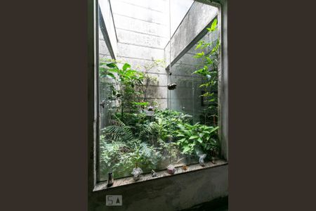 Sala - Jardim de casa à venda com 3 quartos, 350m² em Vila Bertioga, São Paulo