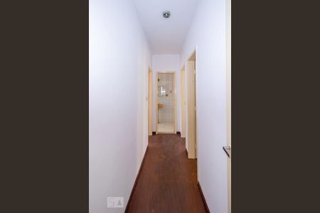Corredor de apartamento para alugar com 2 quartos, 70m² em Sagrada Família, Belo Horizonte
