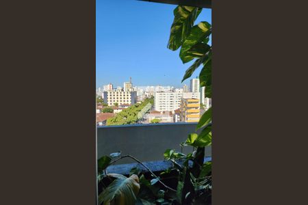 Apartamento para alugar com 148m², 3 quartos e 2 vagas Apartamento para alugar com 148m², 3 quartos e 2 vagasVista da Suíte