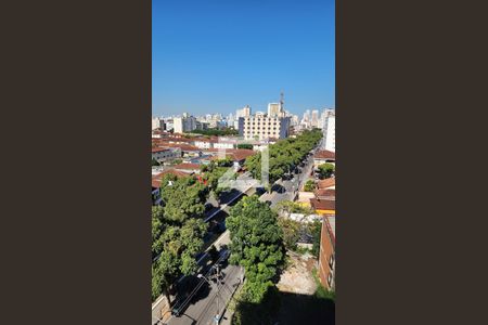 Apartamento para alugar com 148m², 3 quartos e 2 vagas Apartamento para alugar com 148m², 3 quartos e 2 vagasVista do Quarto 2