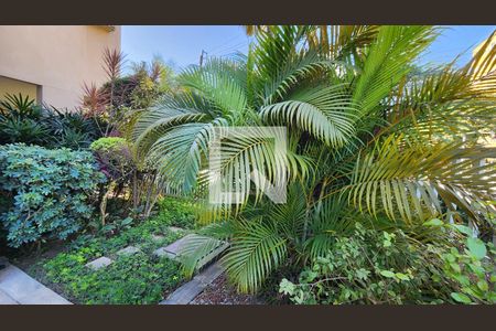 Apartamento para alugar com 148m², 3 quartos e 2 vagas Apartamento para alugar com 148m², 3 quartos e 2 vagasJardim