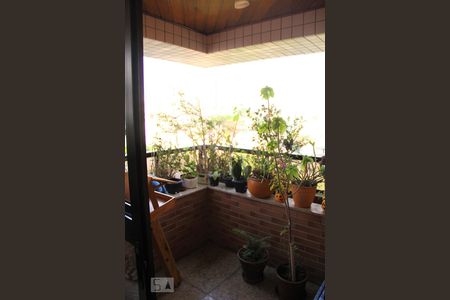 Varanda da Sala de apartamento à venda com 3 quartos, 145m² em Vila Mascote, São Paulo