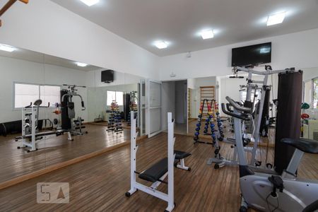 Área comum - Academia de apartamento para alugar com 2 quartos, 52m² em Paraisópolis, São Paulo