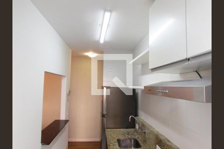 Apartamento para alugar com 52m², 2 quartos e 1 vagaCozinha - Armários