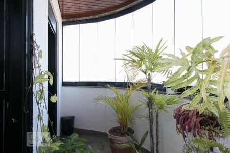 Apartamento à venda com 150m², 3 quartos e 3 vagasVaranda Sala de TV