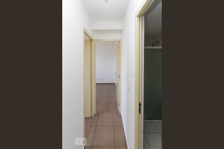 corredor de apartamento para alugar com 2 quartos, 55m² em Jardim Vila Formosa, São Paulo
