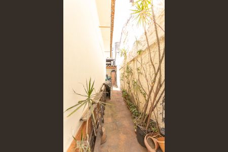 Casa à venda com 450m², 10 quartos e 3 vagasÁrea Externa Casa 1