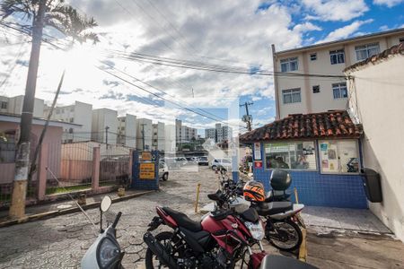 Área comum de apartamento para alugar com 3 quartos, 60m² em Praia Comprida, São José