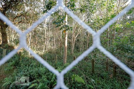 Apartamento à venda com 100m², 3 quartos e 2 vagasVista