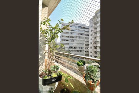 Sala 1 - Varanda de apartamento para alugar com 4 quartos, 366m² em Santa Cecília, São Paulo